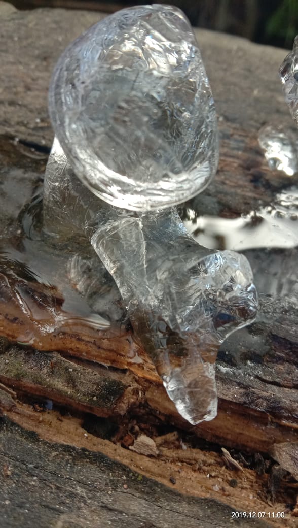 IMG-20191209-WA0003