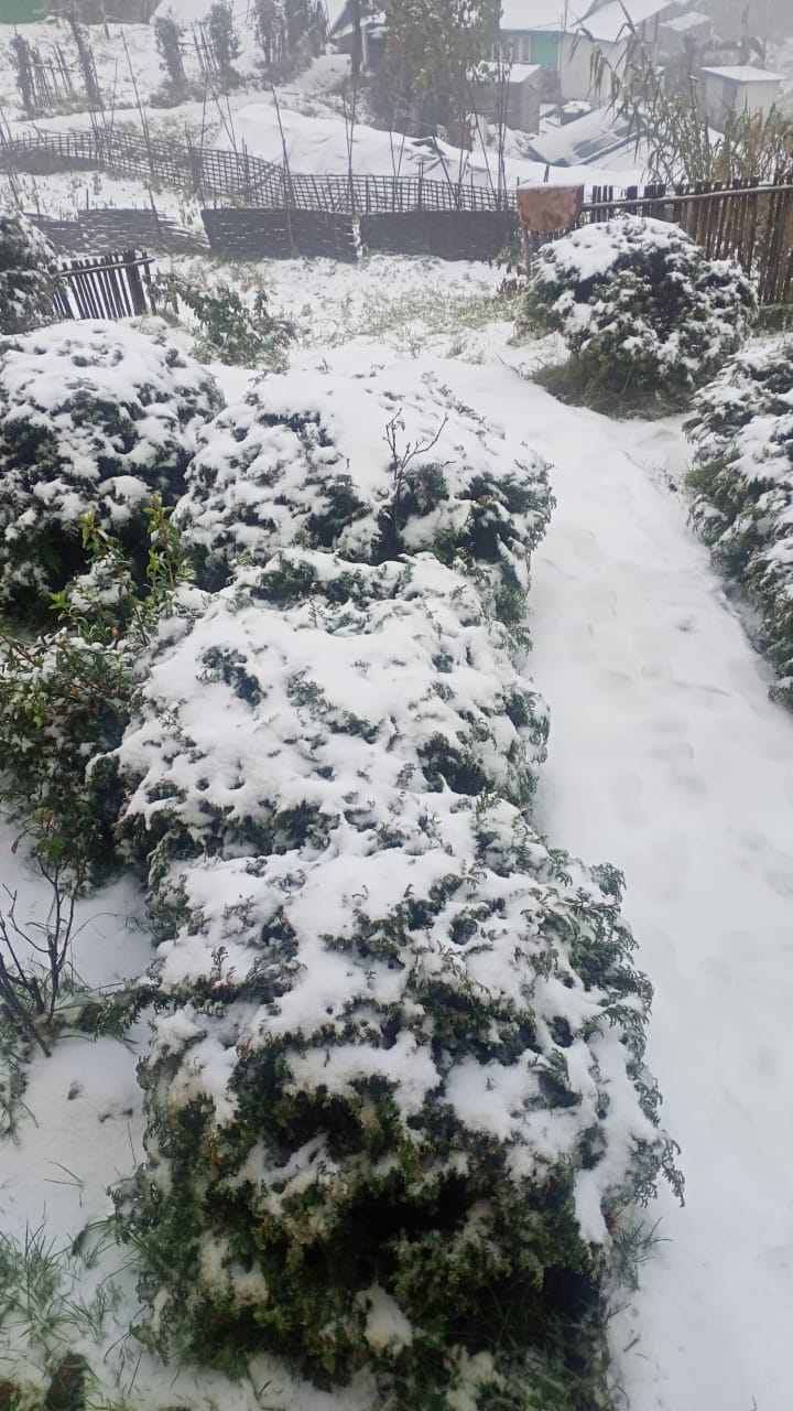 IMG-20211229-WA0007